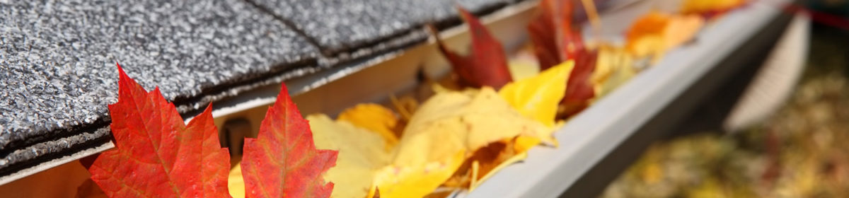 Gutter Cleaning Houston Team